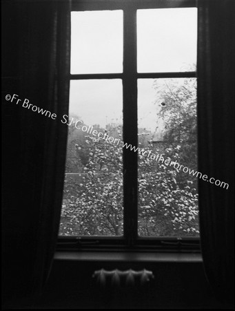 APPLE TREES THROUGH WINDOW